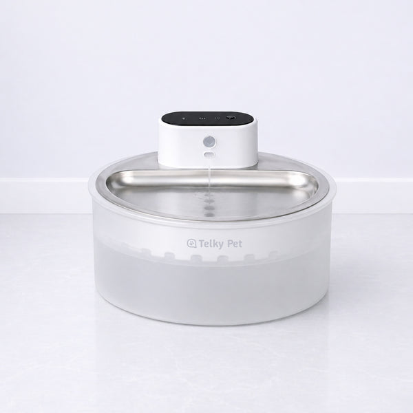Neptuno Smart Water Fountain